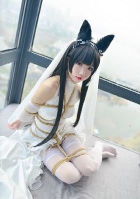 螳螂电视剧免费观看完整版_DVD高清完整版播放